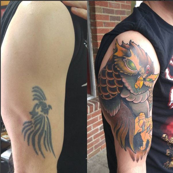 Owl Cover Up         